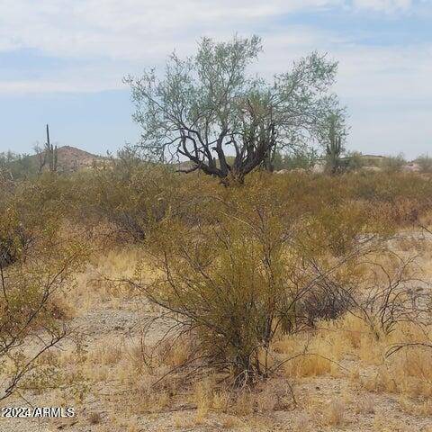 San Tan Valley, AZ 85140,0 E Adobe Dam Road #-