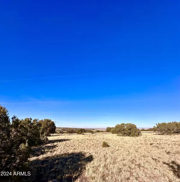 Concho, AZ 85924,County Rd 5168 (Sloan) -- #181