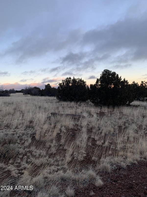 Concho, AZ 85924,Lot 1916 Mills Lane Road #1916