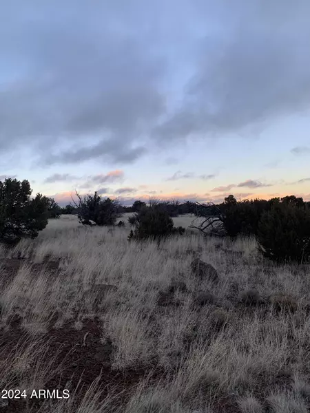 Lot 1916 Mills Lane Road #1916, Concho, AZ 85924