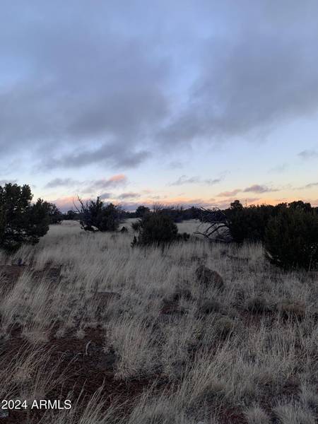 Lot 1916 Mills Lane Road #1916, Concho, AZ 85924