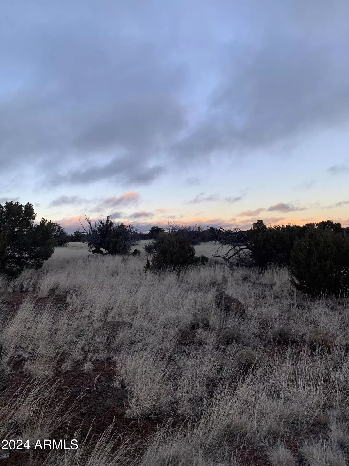 Concho, AZ 85924,Lot 1916 Mills Lane Road #1916