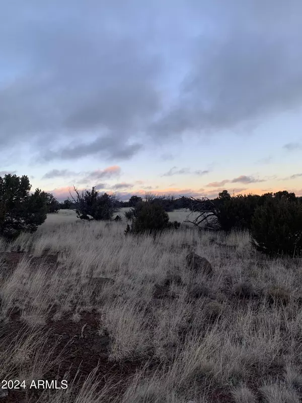 Concho, AZ 85924,Lot 1916 Mills Lane Road #1916