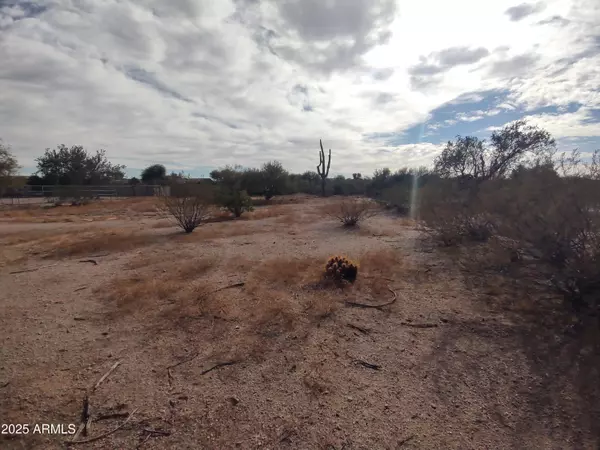 Cave Creek, AZ 85331,419 E Quail Track Drive #-