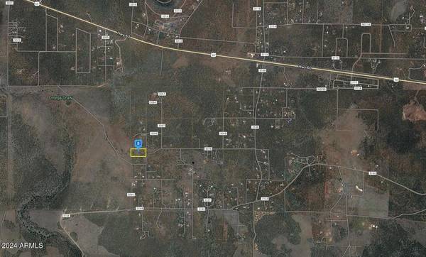 Vernon, AZ 85940,3 County Road N3079 -- #-