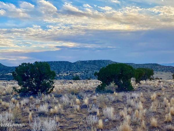 St Johns, AZ 85936,N6422 36.22 Acres -- #136