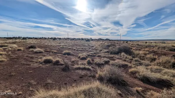 St Johns, AZ 85936,14 COUNTY ROAD 6014 -- #234