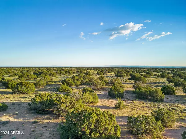 St Johns, AZ 85936,3426 Acres - Sandlot Ranch -- #-