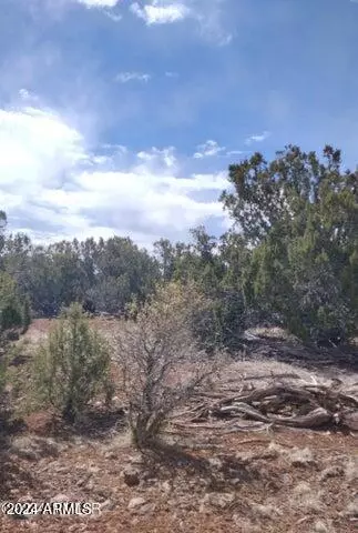 Concho, AZ 85924,3 in Show Low Pines -- #223,060, 096