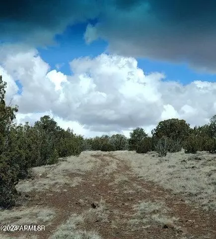 Concho, AZ 85924,3 in Show Low Pines -- #223,060, 096