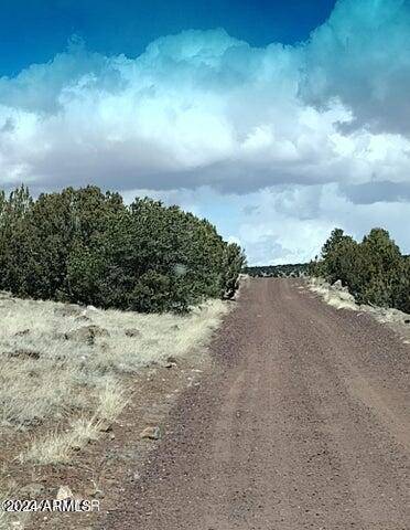 Concho, AZ 85924,3 in Show Low Pines -- #223,060, 096