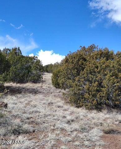 Concho, AZ 85924,3 in Show Low Pines -- #223,060, 096