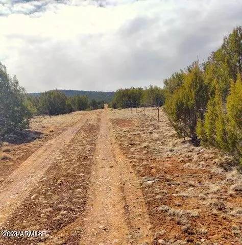 Concho, AZ 85924,5 in Show Low Pines -- #75,82,239,334 & 464