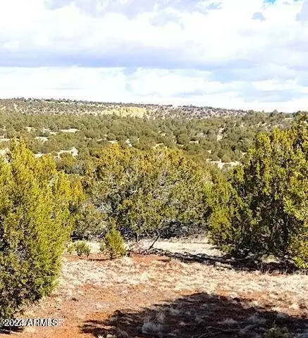 5 in Show Low Pines -- #75, 82, 239, 334 & 464, Concho, AZ 85924