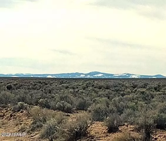 St Johns, AZ 85936,3 in Carrizo Ranch -- #342, 346 & 347