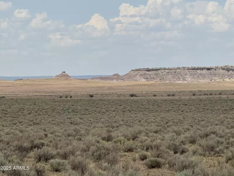 3 in Carrizo Ranch -- #342, 346 & 347, St Johns, AZ 85936