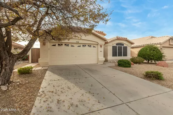 Peoria, AZ 85382,20424 N 96TH Lane