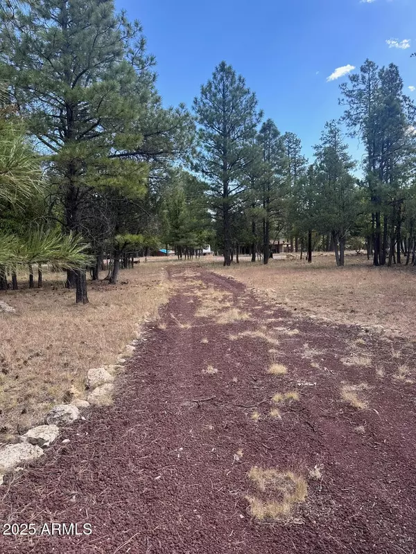 Happy Jack, AZ 86024,2412 VELVET ANTLER Trail