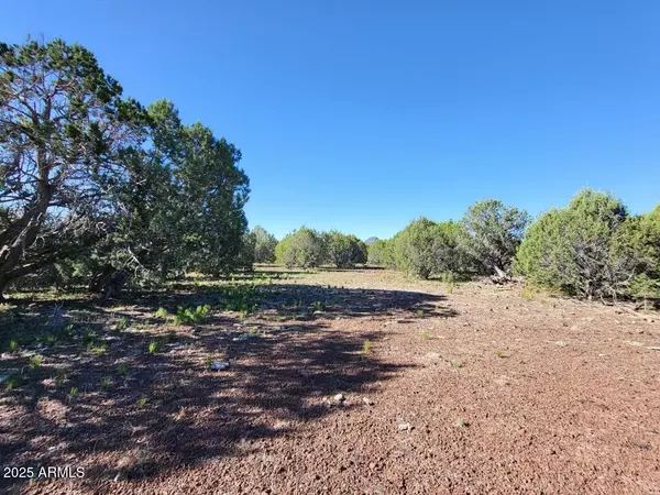 Williams, AZ 86046,51 N Ranch Road #51 B