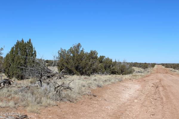 Heber, AZ 85928,1924 Hutch Road #39