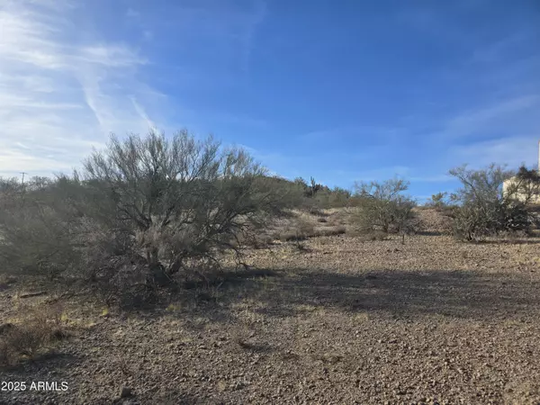 Wickenburg, AZ 85390,0 Corral Drive #085