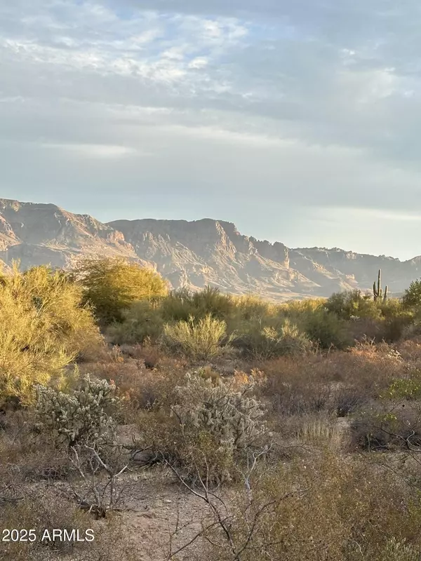 Gold Canyon, AZ 85118,10105 E MEANDERING TRAIL Lane