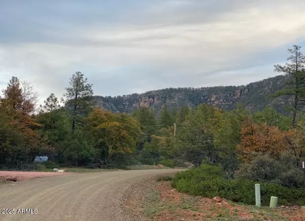 Manzanita Trail #15, Pine, AZ 85544