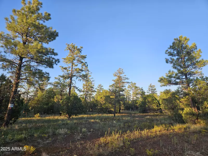 4843 W Bison Trail #41, Lakeside, AZ 85929