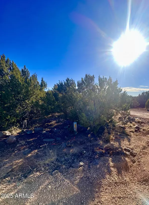 Vernon, AZ 85940,County Rd 3323 -- #-