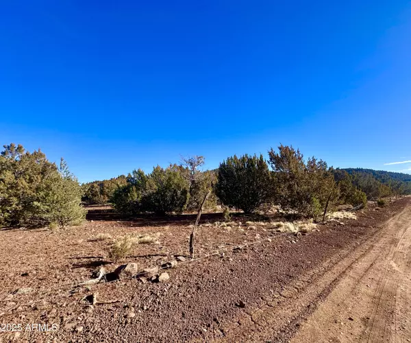 Vernon, AZ 85940,County Rd N 3314 -- #-