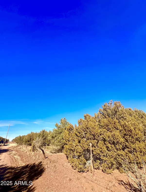 Vernon, AZ 85940,County Rd N 3314 -- #-