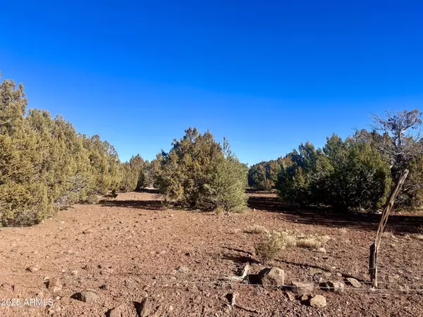 Vernon, AZ 85940,County Rd N 3314 -- #-