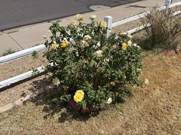 Chandler, AZ 85225,501 W Linda Lane