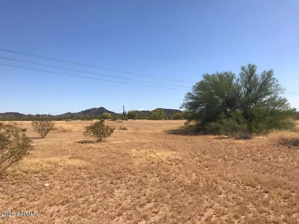 Wittmann, AZ 85361,W Dove Valley Road #131