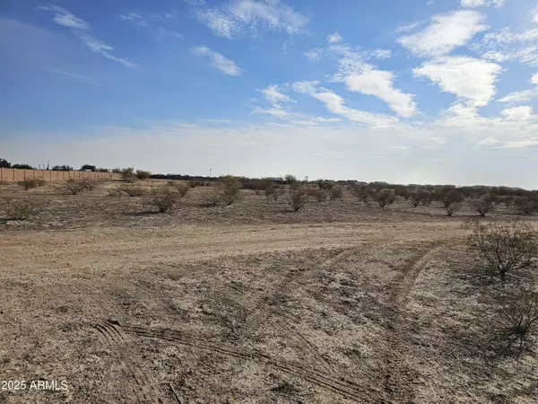 Wittmann, AZ 85361,243 Jomax Road #-