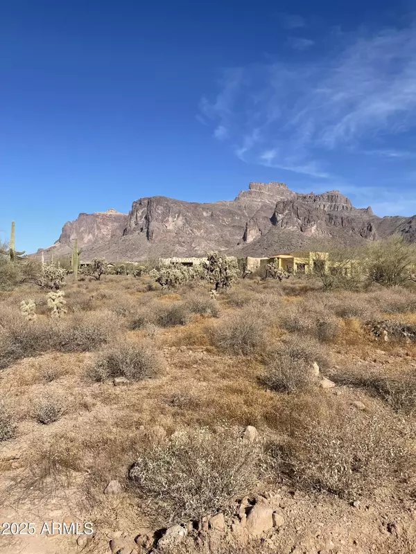 Apache Junction, AZ 85119,0 E Roosevelt Street #-