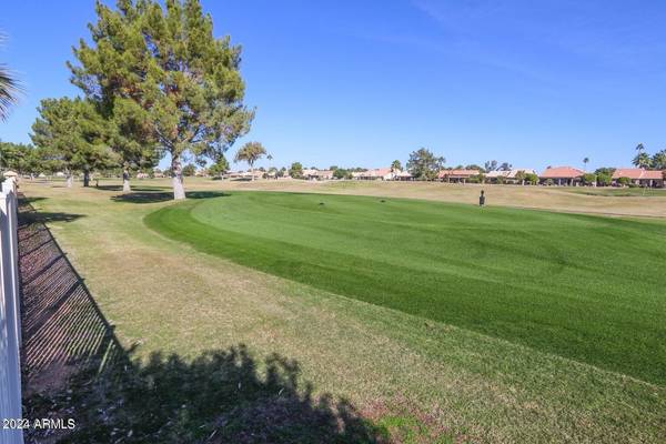 Sun Lakes, AZ 85248,25037 S RIBBONWOOD Drive