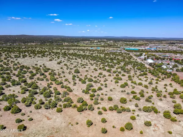 Penrod & Cooley Roads #-, Show Low, AZ 85901