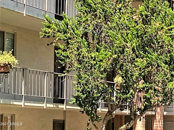 4727 E LAFAYETTE Boulevard #221, Phoenix, AZ 85018