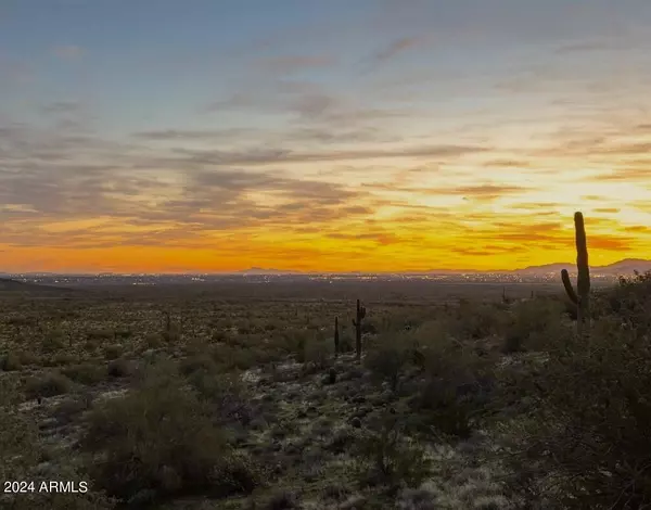 Fountain Hills, AZ 85268,9020 N FLYING BUTTE --