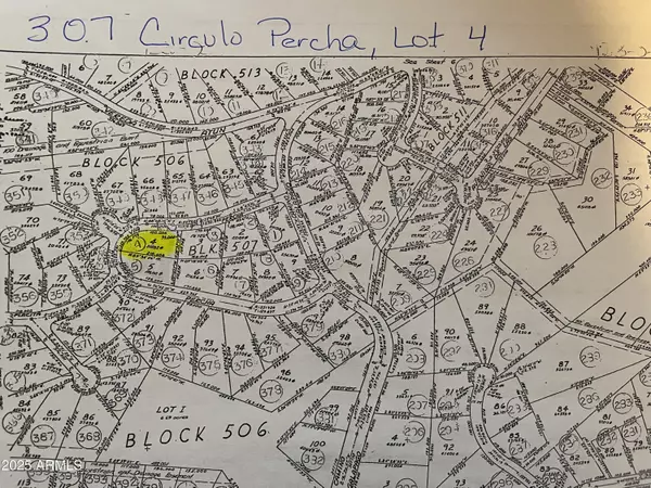 Rio Rico, AZ 85648,307 CIRCULO PERCHA -- #4