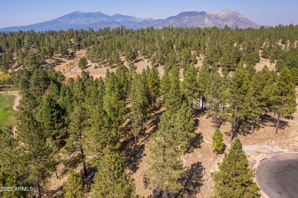 Flagstaff, AZ 86005,2900 S Solitaires Canyon Drive #345