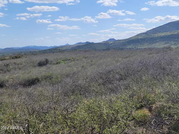 Skull Valley, AZ 86338,1365 S IRON SPRINGS Road #-