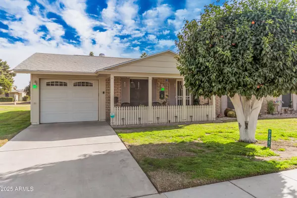 9245 N 109TH Drive, Sun City, AZ 85351