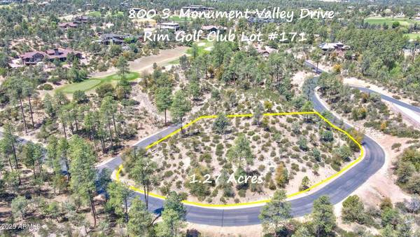 800 S MONUMENT VALLEY Drive #171, Payson, AZ 85541