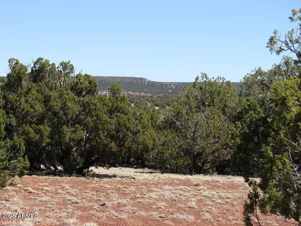 Show Low, AZ 85901,9349 LAZY O Lane #-