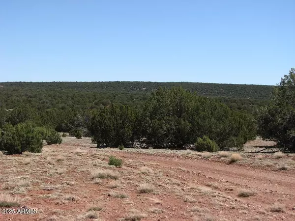 Show Low, AZ 85901,9369 LAZY O Lane #-