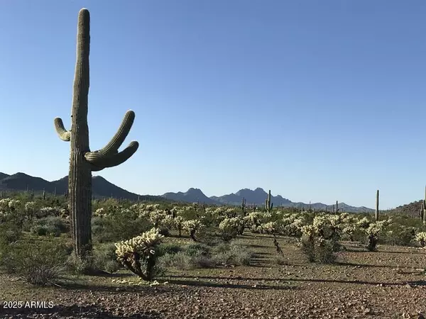 Wittmann, AZ 85361,30401 W VILLA CASANDRA Way #238