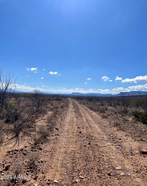 Douglas, AZ 85607,W 39.918 AC LOT 23 -- W #23