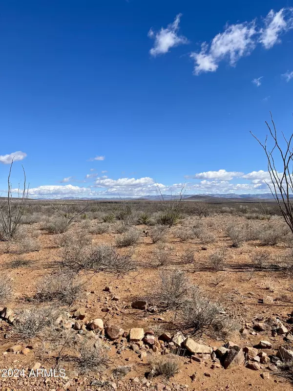 Douglas, AZ 85607,W 39.918 AC LOT 23 -- W #23